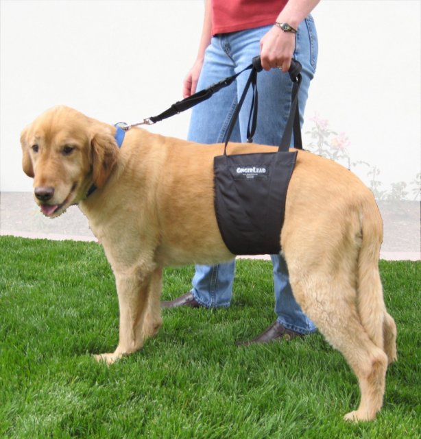 Large Dog Support Sling / Harness