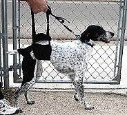 Small Dog Support Sling / Harness