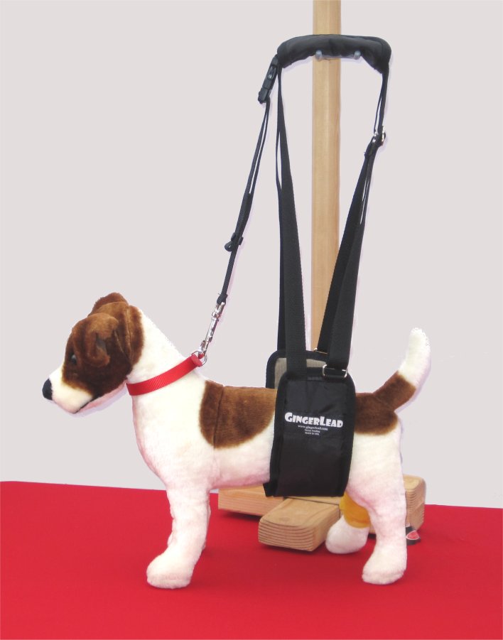 Small Female Dog Support Harness / Sling