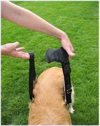 Dog Sling / Support Harness Step 1