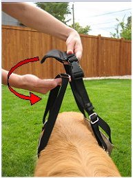 Dog Sling / Support Harness Step 2