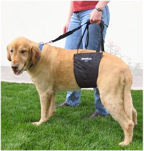 Dog Sling / Support Harness Step 4