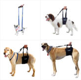 GingerLead Rehab Vet Kit Assists Dogs with Canine Physical Therapy and Rehabilitation