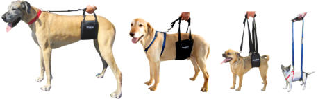 GingerLead Lifting Harnesses for Toy to Giant Breed Dogs