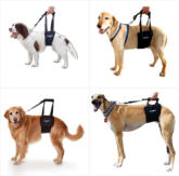 GingerLead Veterinary Starter Kits includes 4 Pet Slings: Small Male, Medium/Large Dogs, Large Female Dogs, Tall Canines