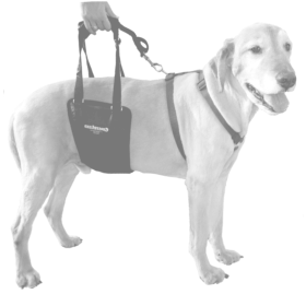 Sling for Large Dogs with Weak Back Legs