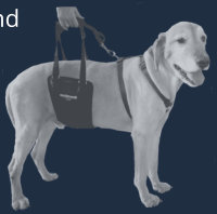 GingerLead Dog Slings are Support Harnesses for Rear Legs