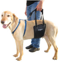 Medium Large Unisex GingerLead Dog Support & Rehabilitation Harness