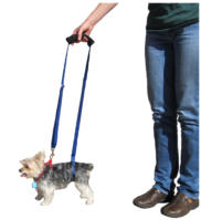 Mini GingerLead Dog Support & Rehabilitation Harness