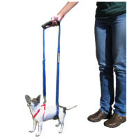 Mini GingerLead Dog Support & Rehabilitation Harness