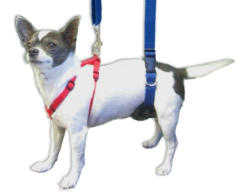 GingerLead Extra Small Dog Sling for Chihuahuas, Dachshunds, Cats, Kittens