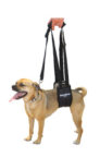 GingerLead Slings have Long Straps to Prevent Bending and Injuring your Back