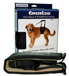 GingerLead Dog Support & Rehabilitation Harness Packaging