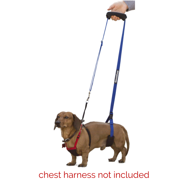 GingerLead Mini Extra Small Sling fits Toy Breed Dogs, Dachshunds with IVDD, Cats, Kittens and other Petite Pets