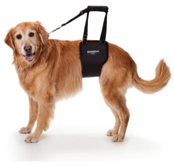 GingerLead Large Female Support Sling fits Large to Giant Breed Female Dogs