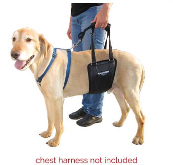 GingerLead Medium / Large Unisex Support Sling with Cutout fits Male and Female Dogs