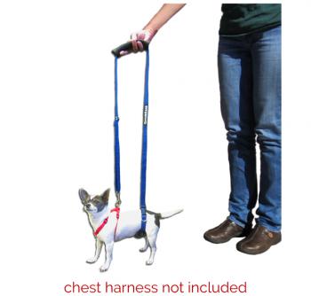 harness for toy dogs