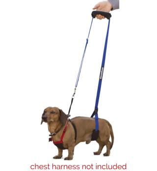 GingerLead Mini Extra Small Sling fits Toy Breed Dogs, Dachshunds with IVDD, Cats, Kittens and other Petite Pets