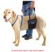 GingerLead Medium / Large Unisex Support Sling with Cutout fits Male and Female Dogs