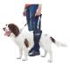 GingerLead Small Unisex Support Sling with Cutout fits Male and Female Dogs