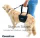 Padded Support Sling with Leash Control fits Large to Giant Breed Female Dogs