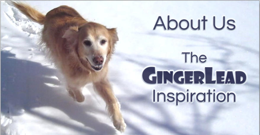 gingerlead petsmart