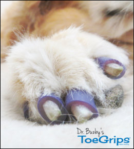 Ginger and her ToeGrips for Stability on Slick Floors