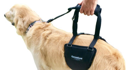 GingerLead Stay on Straps to Keep Sling on your Pet