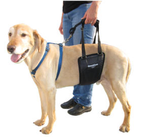 GingerLead Dog Support & Rehabilitation Slings Harness