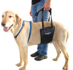 GingerLead Dog Support & Rehabilitation Slings Harness