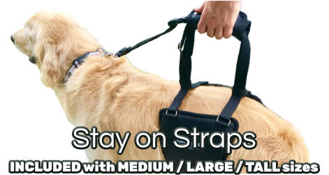 GingerLead Stay on Straps