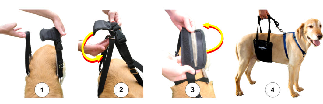 GingerLead Rear Lift Harness Instructions