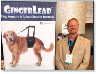GingerLeads were tested by Ginger's Orthopedic Surgeon after Knee Surgery and now Recommended and Used by Veterinarians and Veterinary Technicials at Hospitals and Clinics throughout the U.S. and several other countries