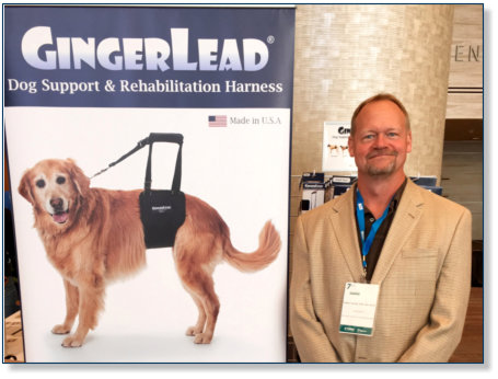 GingerLeads were tested by Ginger's Orthopedic Surgeon after Knee Surgery and now Recommended and Used by Veterinarians and Veterinary Technicials at Hospitals and Clinics throughout the U.S. and several other countries